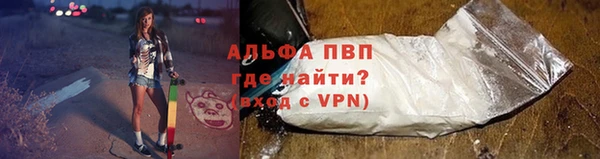 мяу мяу мука Абаза